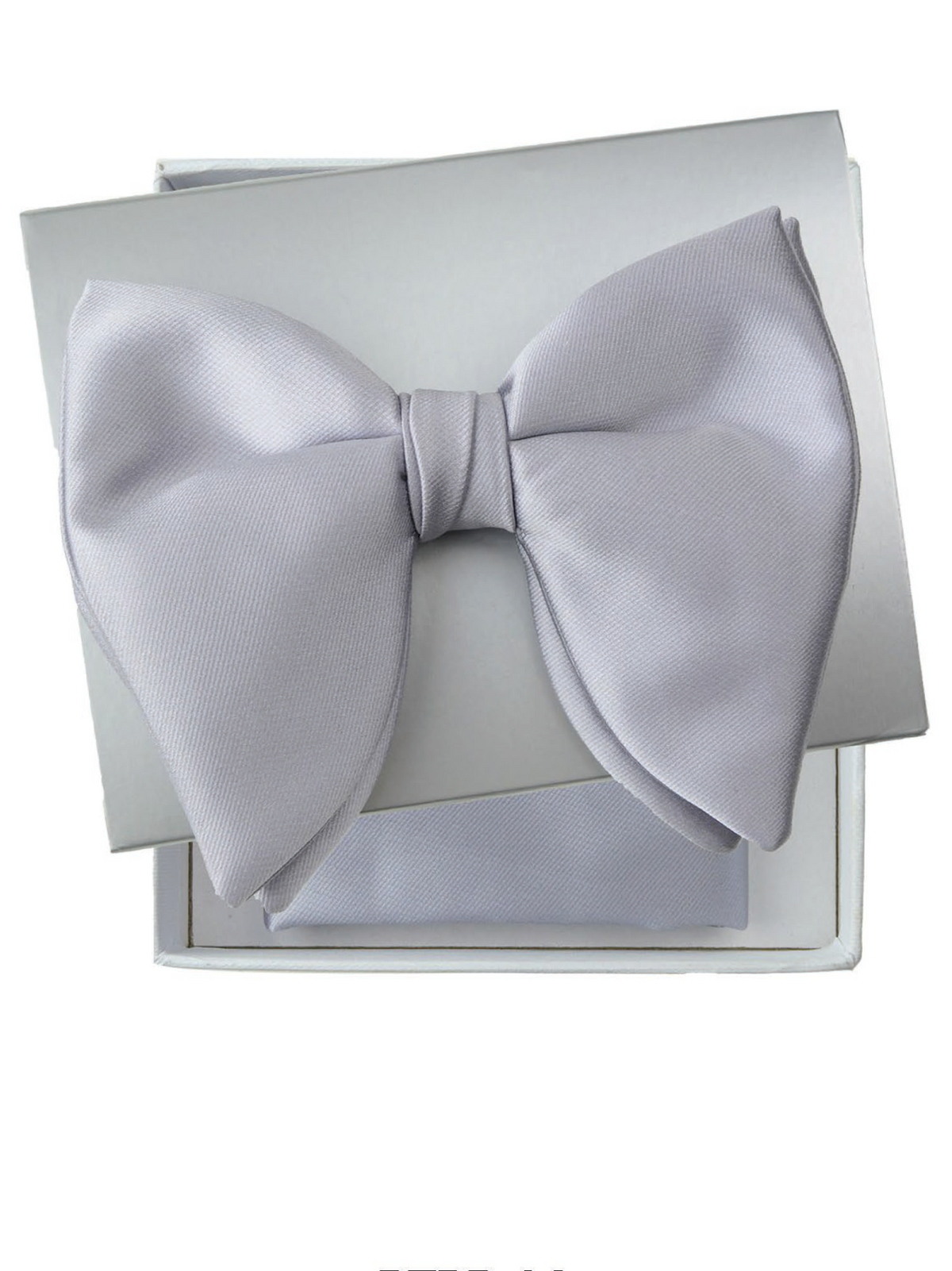 A silver satin bow tie presented on top of its white gift box, with a matching pocket square visible inside. The text 'BTPB-14 Silver' is printed below on a white background.